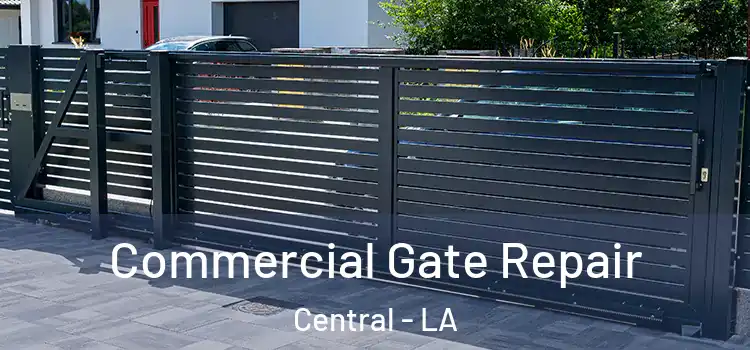 Commercial Gate Repair Central - LA