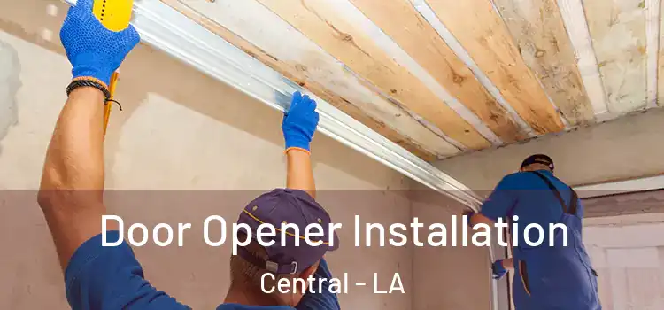  Door Opener Installation Central - LA
