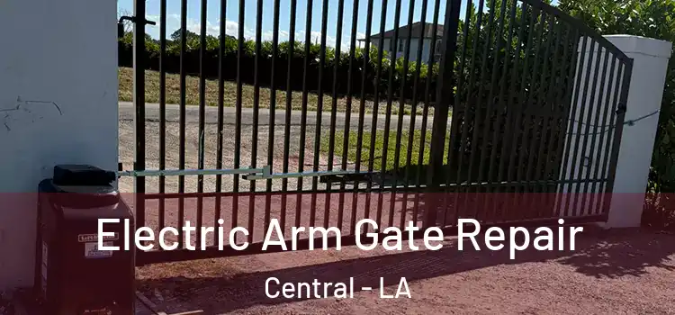 Electric Arm Gate Repair Central - LA