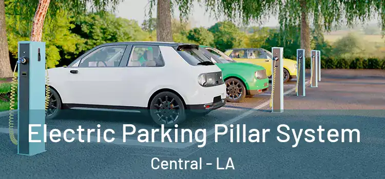  Electric Parking Pillar System Central - LA