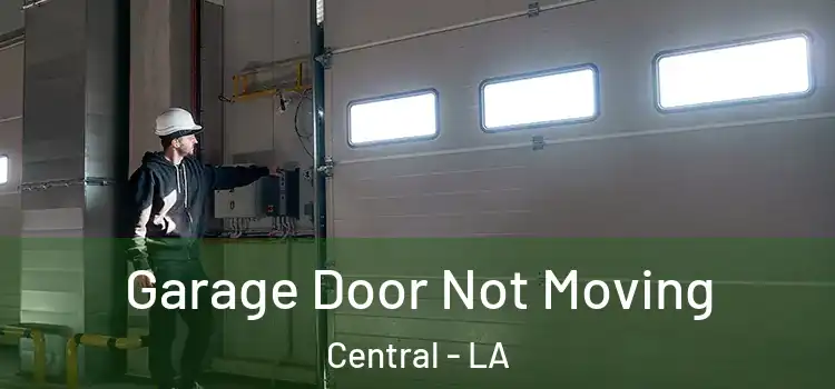 Garage Door Not Moving Central - LA