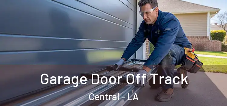  Garage Door Off Track Central - LA