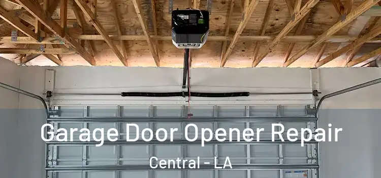  Garage Door Opener Repair Central - LA