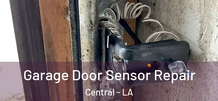 Garage Door Sensor Repair Central - LA