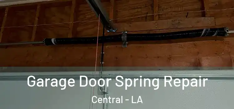  Garage Door Spring Repair Central - LA