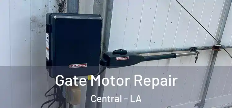 Gate Motor Repair Central - LA
