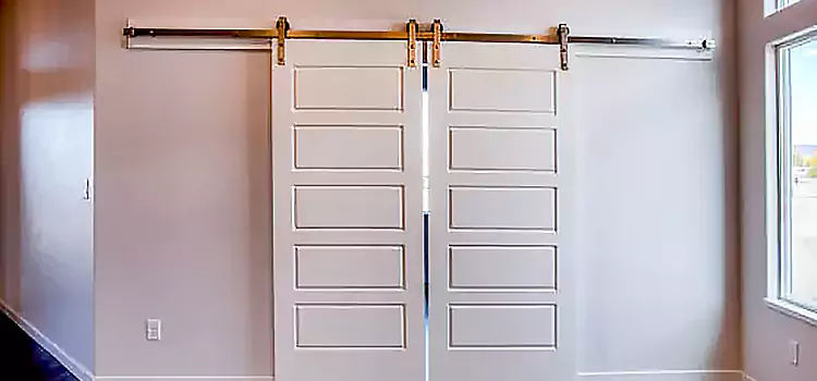 Glass Barn Door with Installation Hardware Kit Central