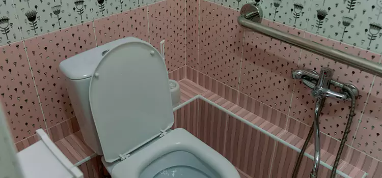 Meeting Diverse Needs With Accessible Restroom Solutions in Central, LA
