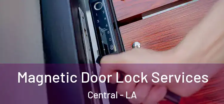 Magnetic Door Lock Services Central - LA