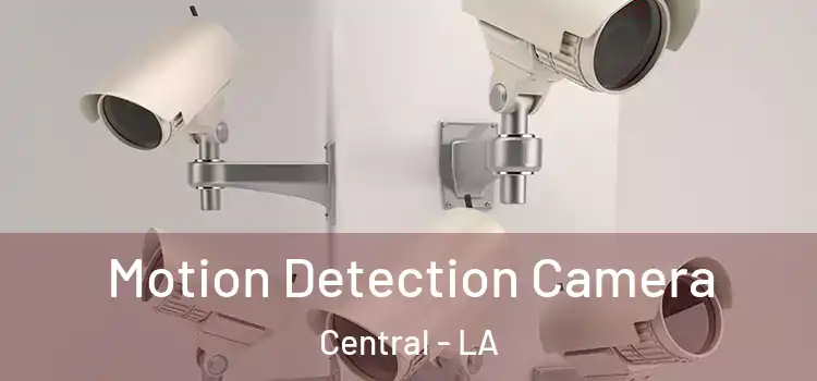  Motion Detection Camera Central - LA