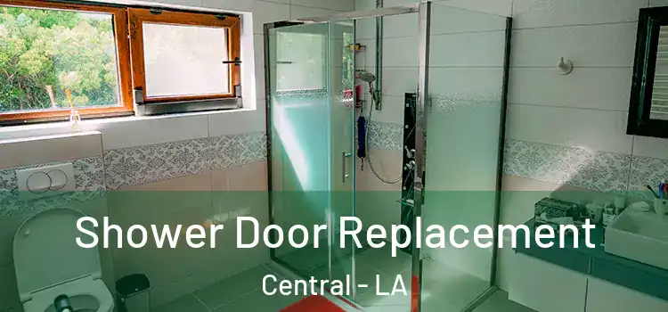  Shower Door Replacement Central - LA
